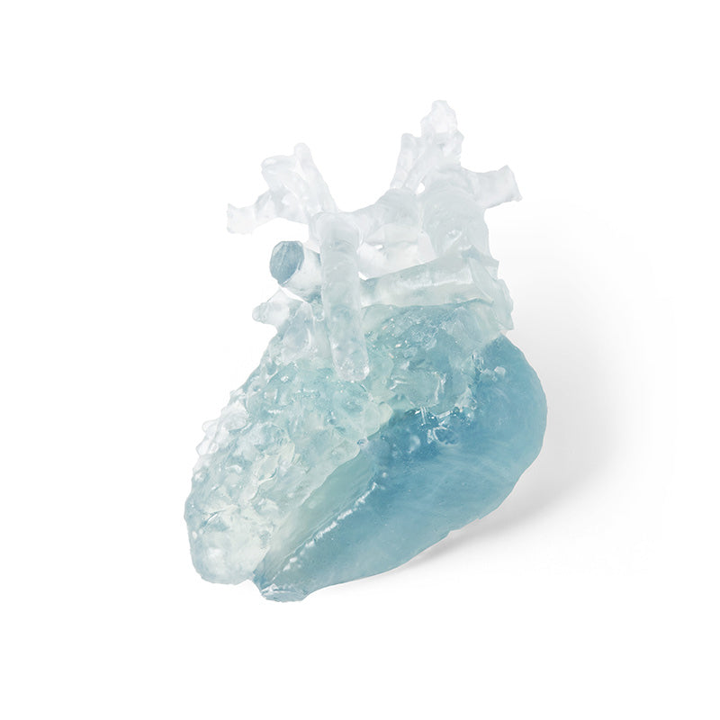 BioMed Flex 80A Resin (Form 4) 1L (RS-C2-BMFL-01)